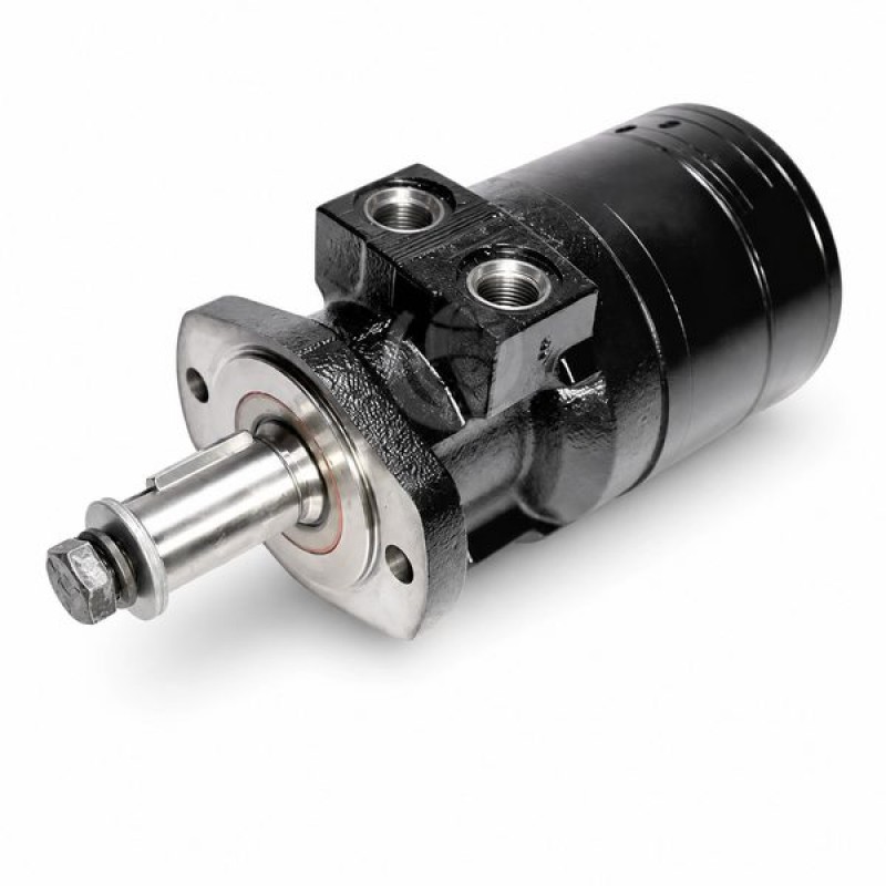 Siyah Gerotor Hidrolik Motor BMER 750 Ağaç Öğütücüler İçin TG / RE Serisini Değiştirin