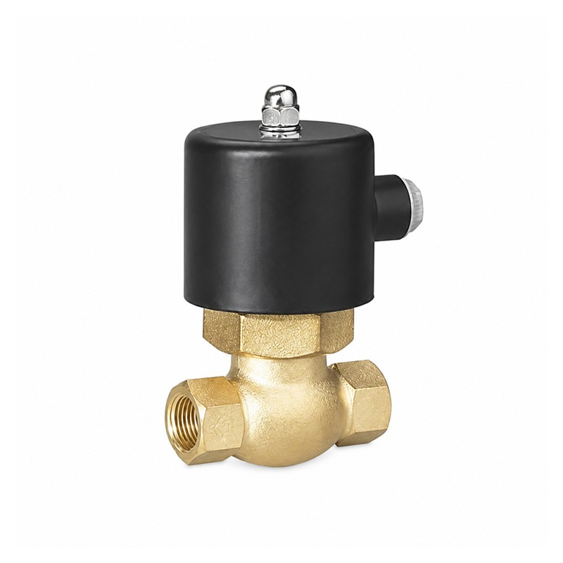 İki Yollu Elektrikli Buhar Solenoid Vanası